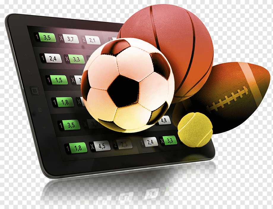 Best Multi-Sport Betting Platforms 46